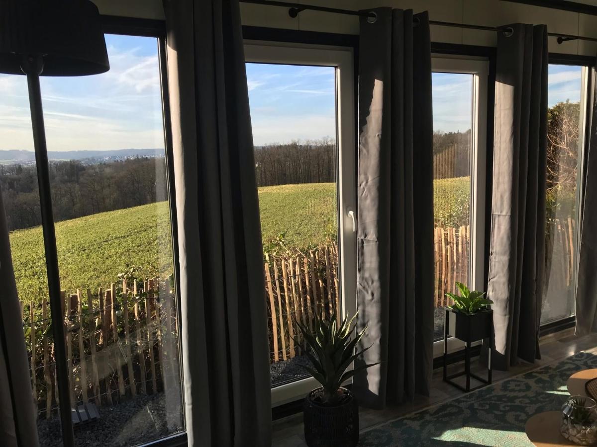 פסאו Tiny-House Mit Alpen- Stadt- Und Poolblick , Wlan מראה חיצוני תמונה